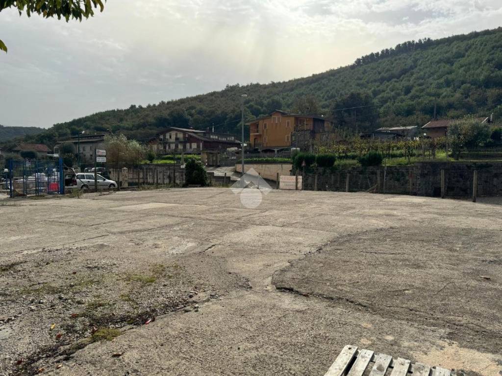 immagine annuncio 4 di 7