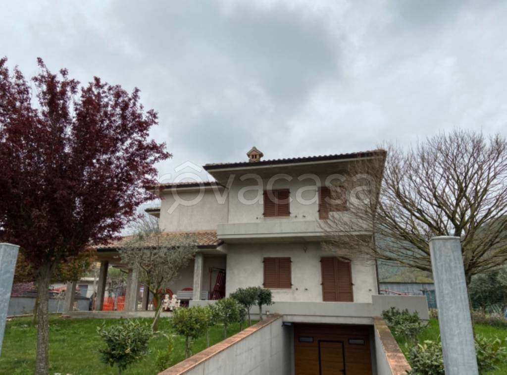 immagine annuncio 3 di 11