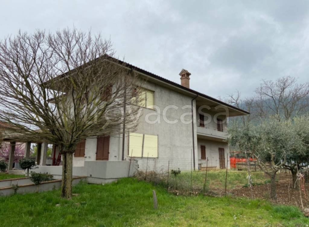 immagine annuncio 4 di 11