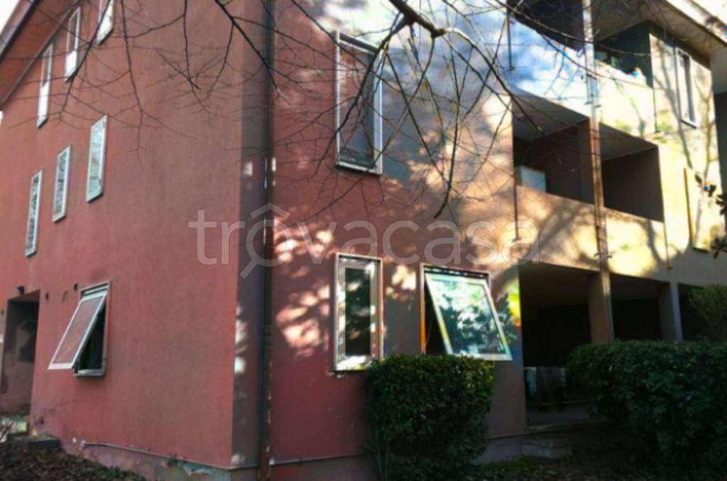 immagine annuncio 1 di 9