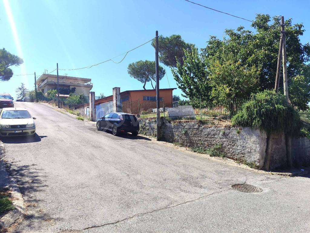 immagine annuncio 2 di 3