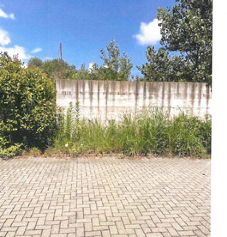 immagine annuncio 6 di 11