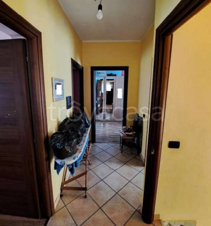 immagine annuncio 12 di 14