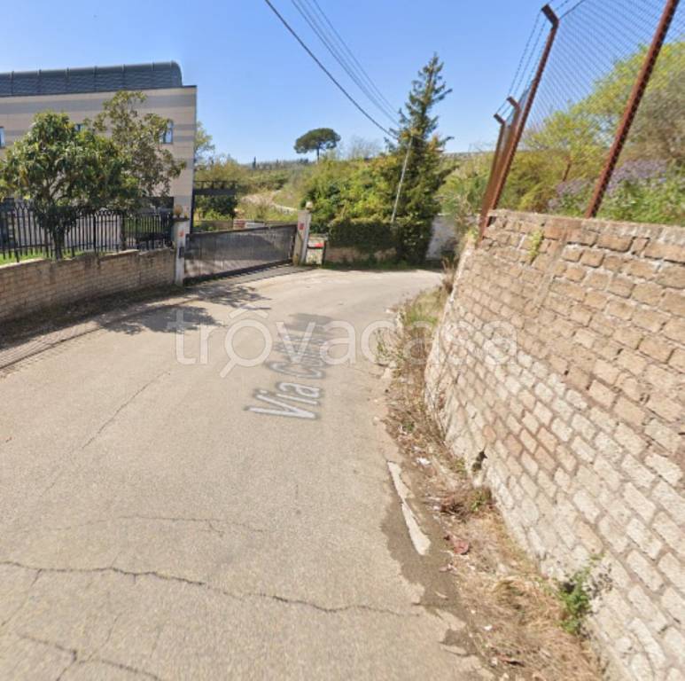 immagine annuncio 9 di 12