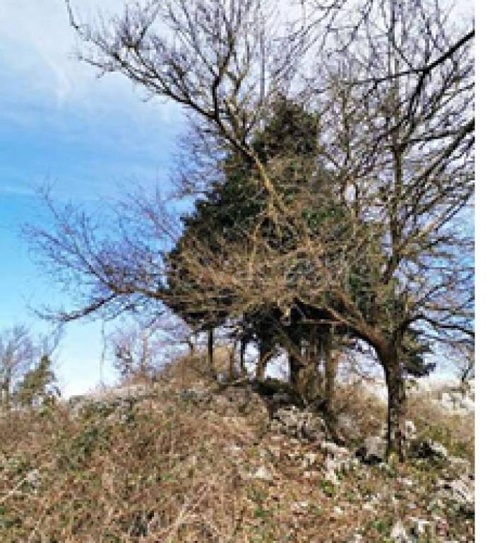 immagine annuncio 4 di 10