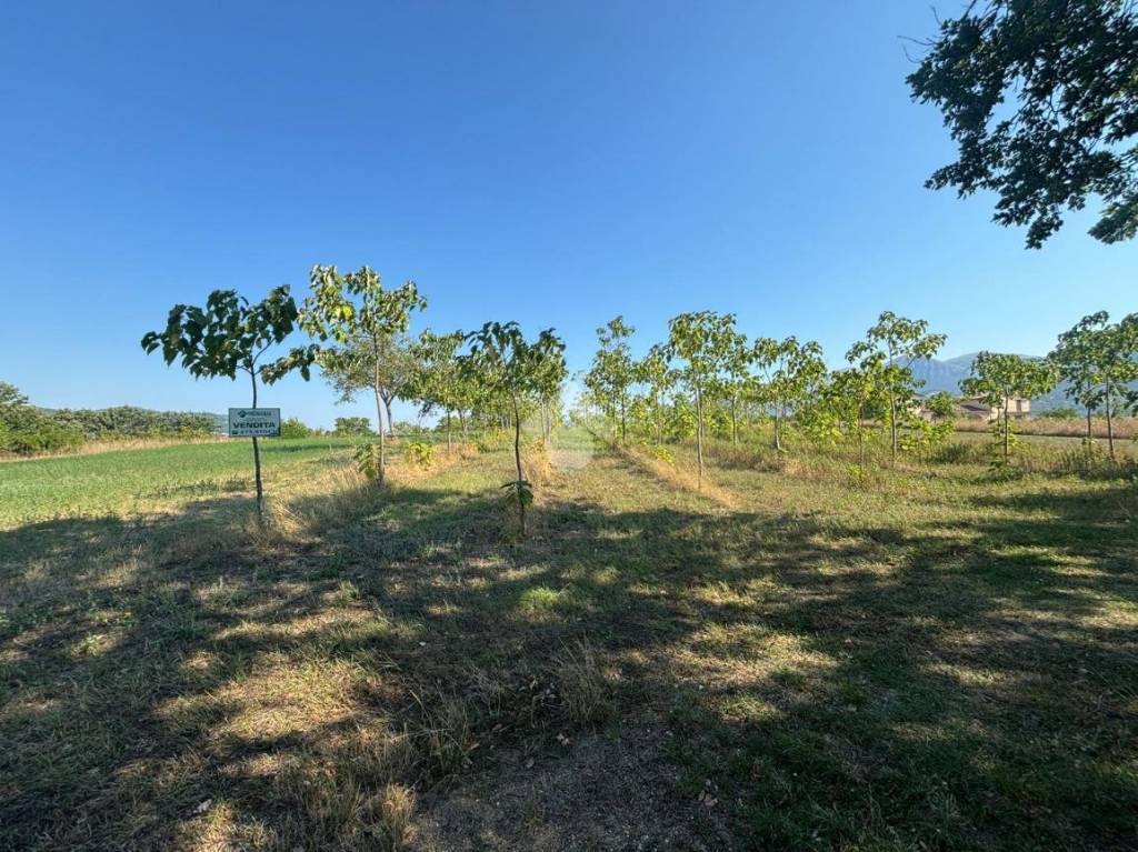 immagine annuncio 7 di 9