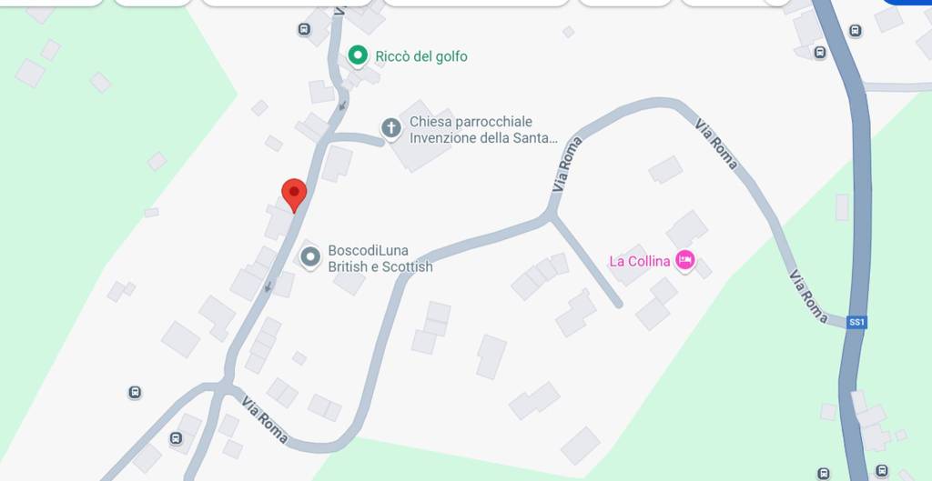 immagine annuncio 8 di 12