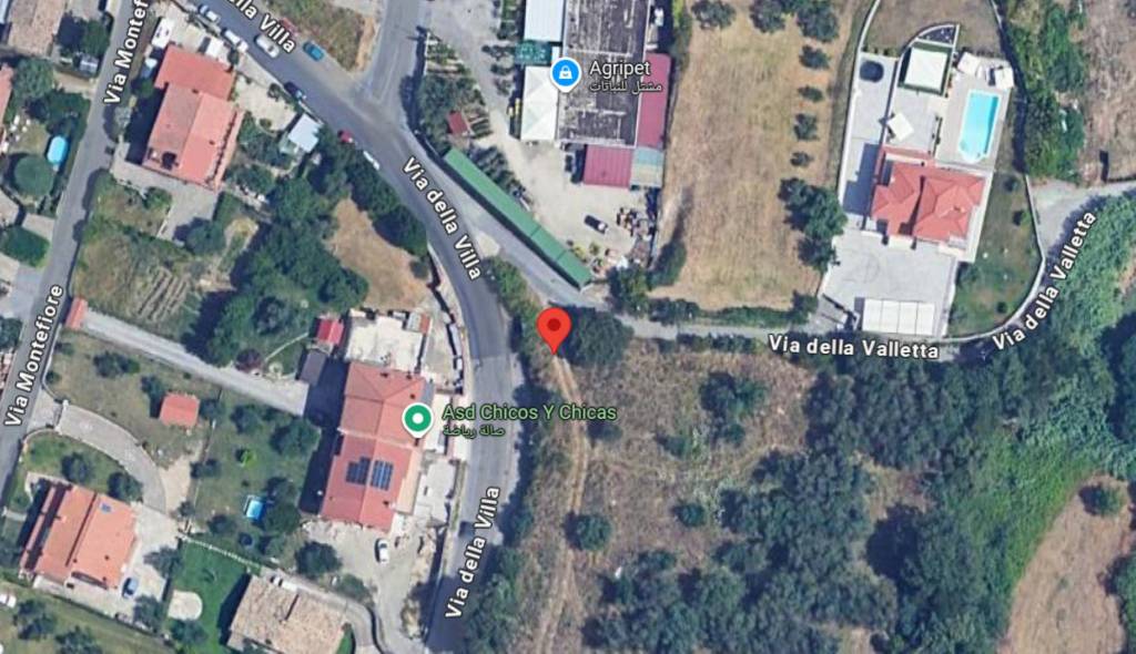 immagine annuncio 2 di 12