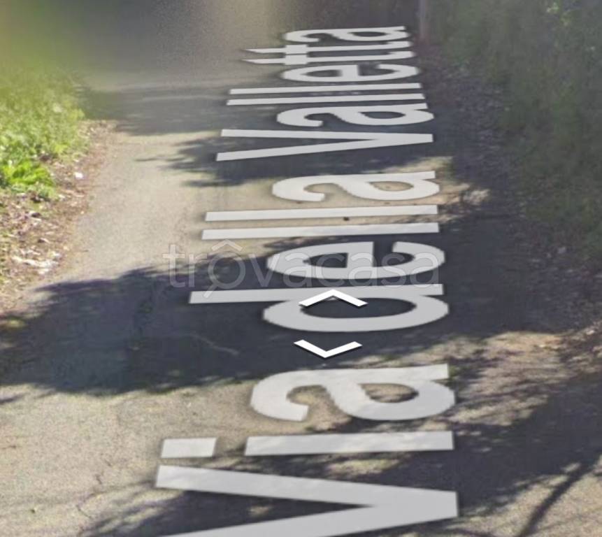 immagine annuncio 4 di 12