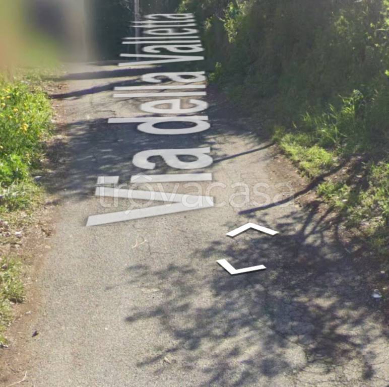 immagine annuncio 6 di 12