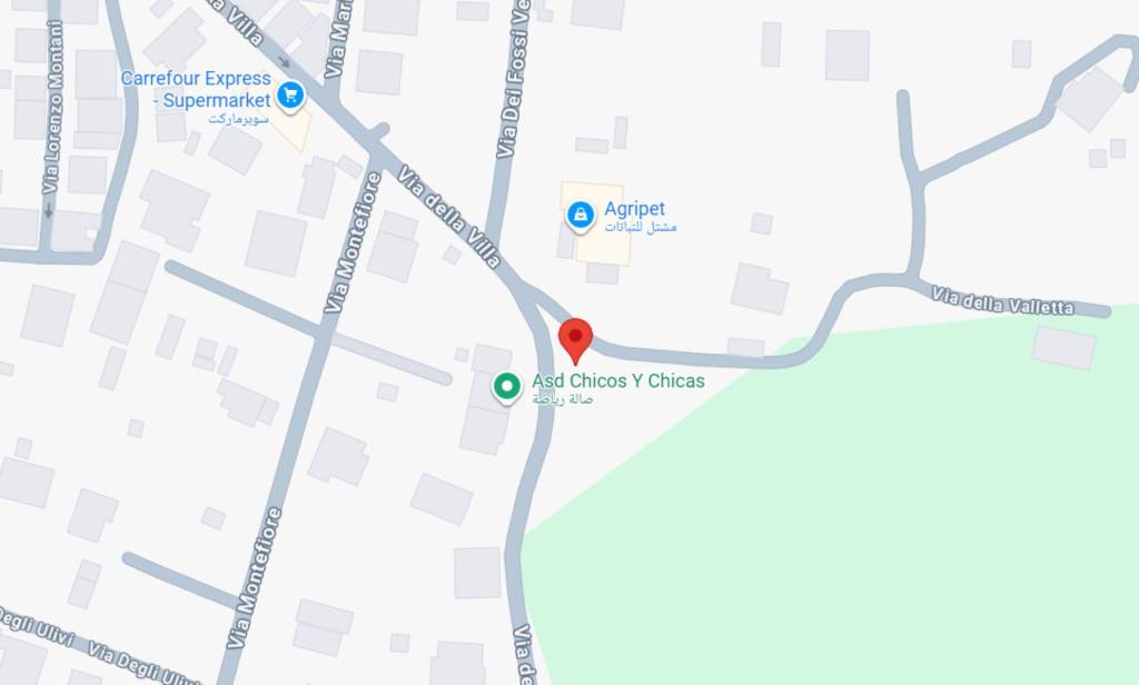 immagine annuncio 11 di 12