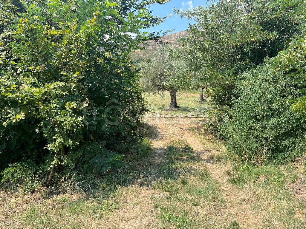 immagine annuncio 11 di 12