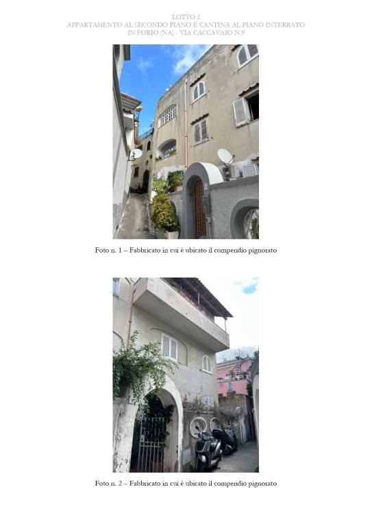 immagine annuncio 1 di 13