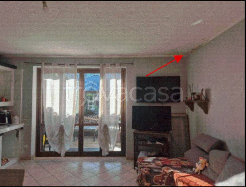 immagine annuncio 5 di 13