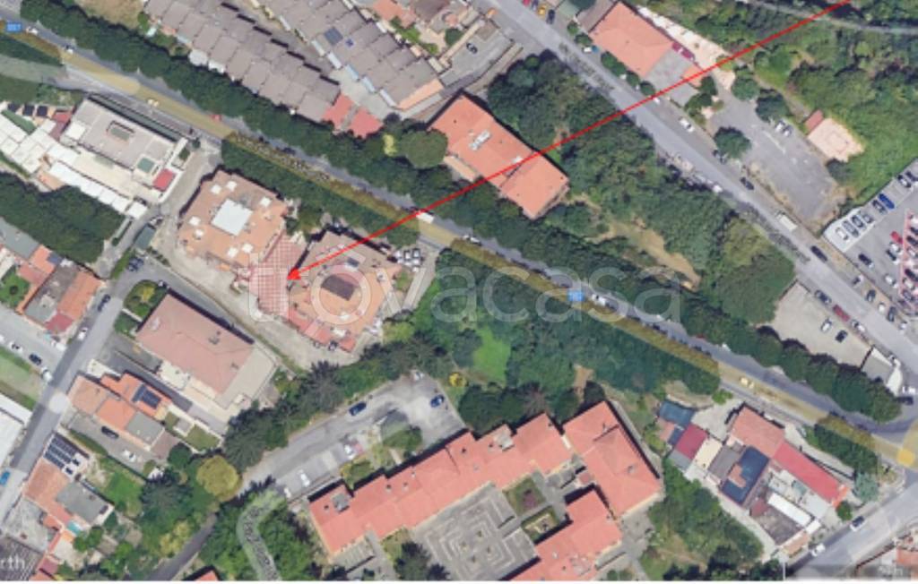 immagine annuncio 3 di 11