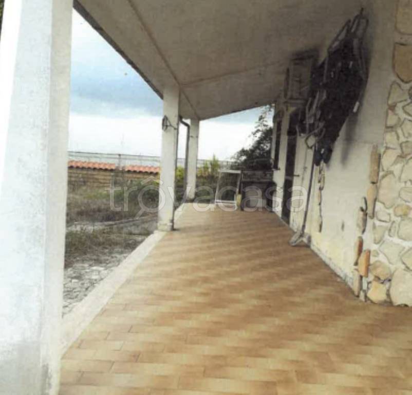 immagine annuncio 7 di 13