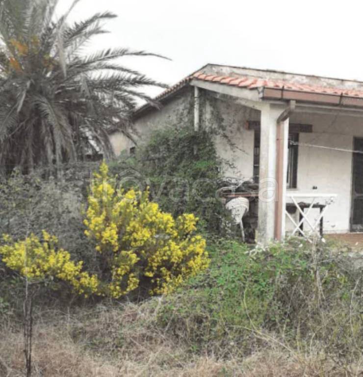 immagine annuncio 10 di 13