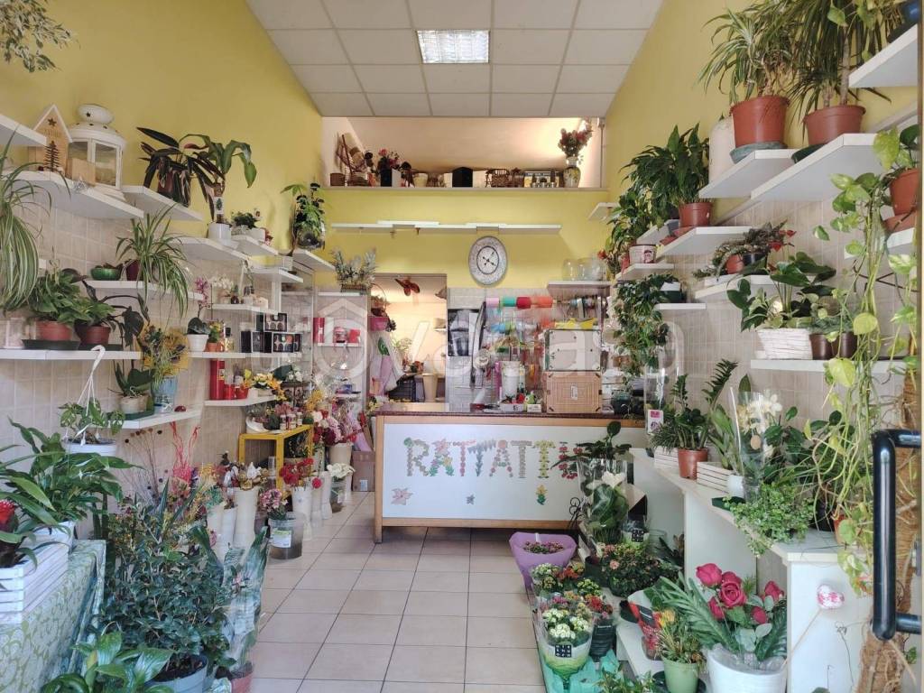 immagine annuncio 1 di 10