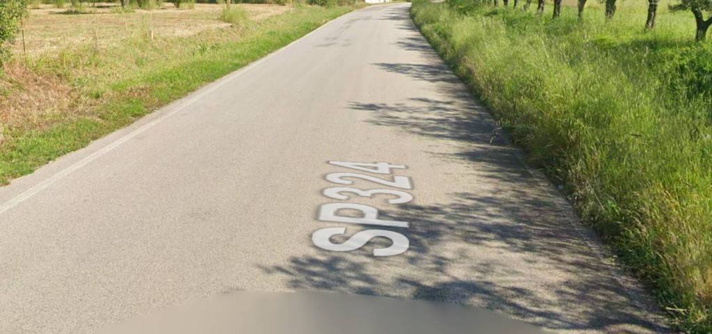 immagine annuncio 10 di 12