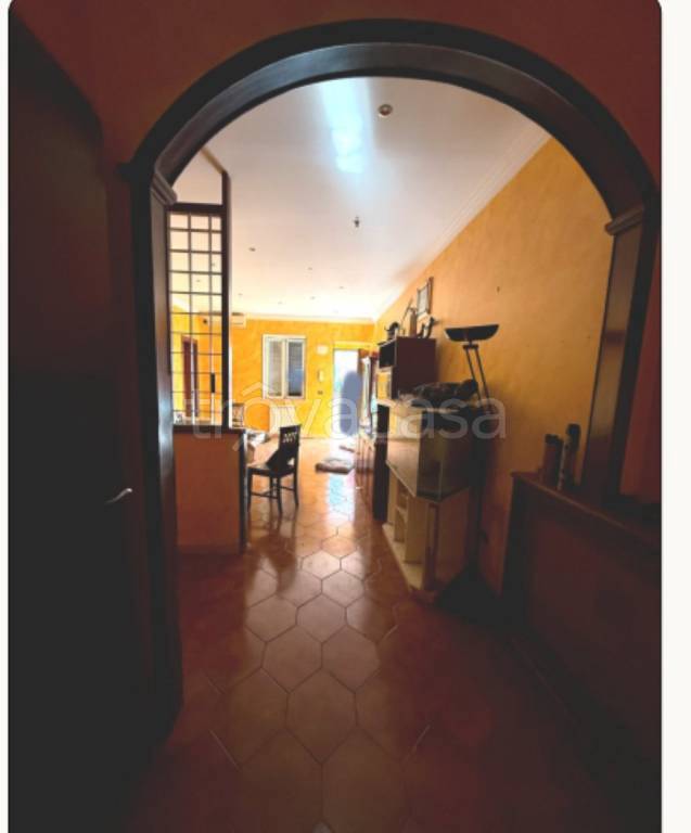 immagine annuncio 4 di 13