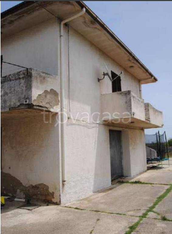 immagine annuncio 10 di 13