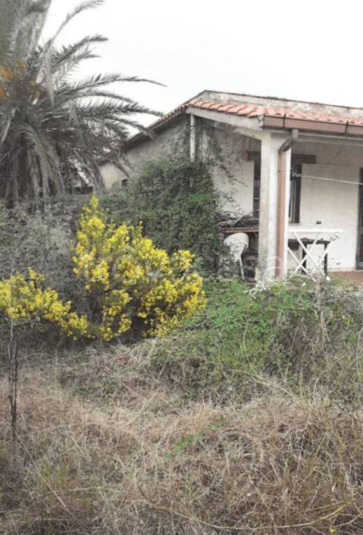 immagine annuncio 5 di 14