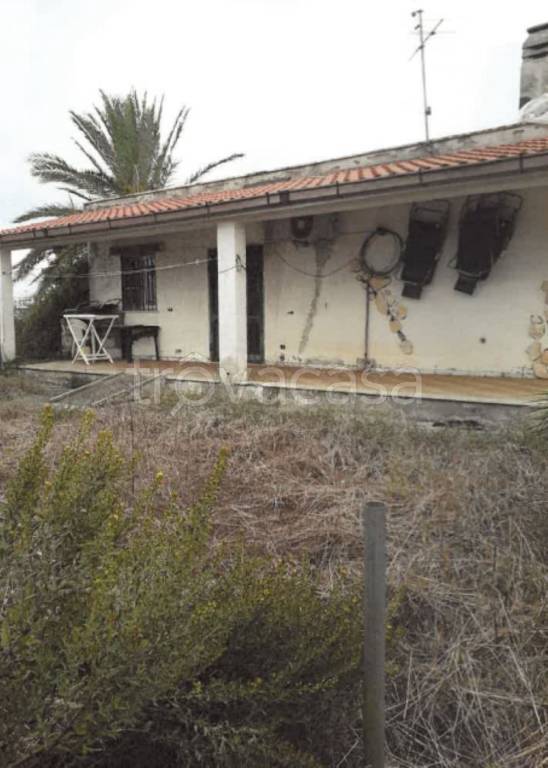 immagine annuncio 6 di 14