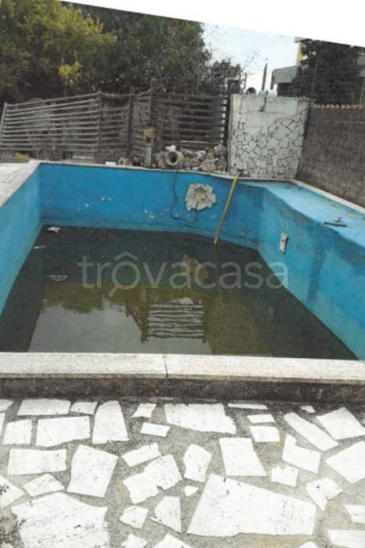 immagine annuncio 7 di 14