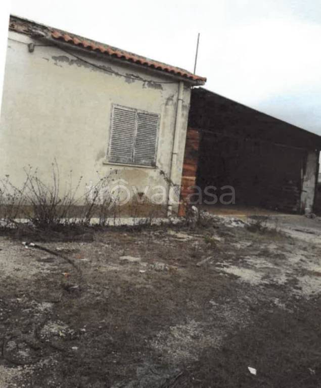 immagine annuncio 10 di 14