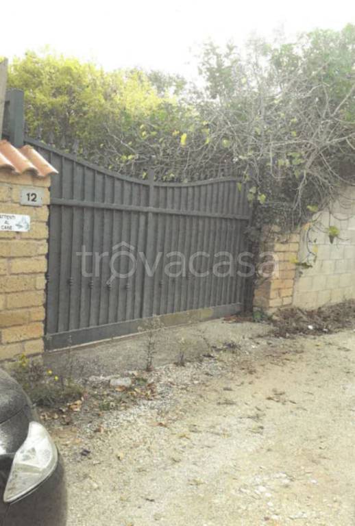 immagine annuncio 12 di 14