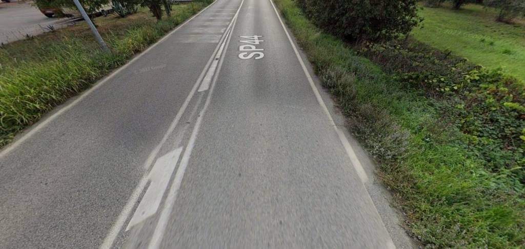 immagine annuncio 2 di 11