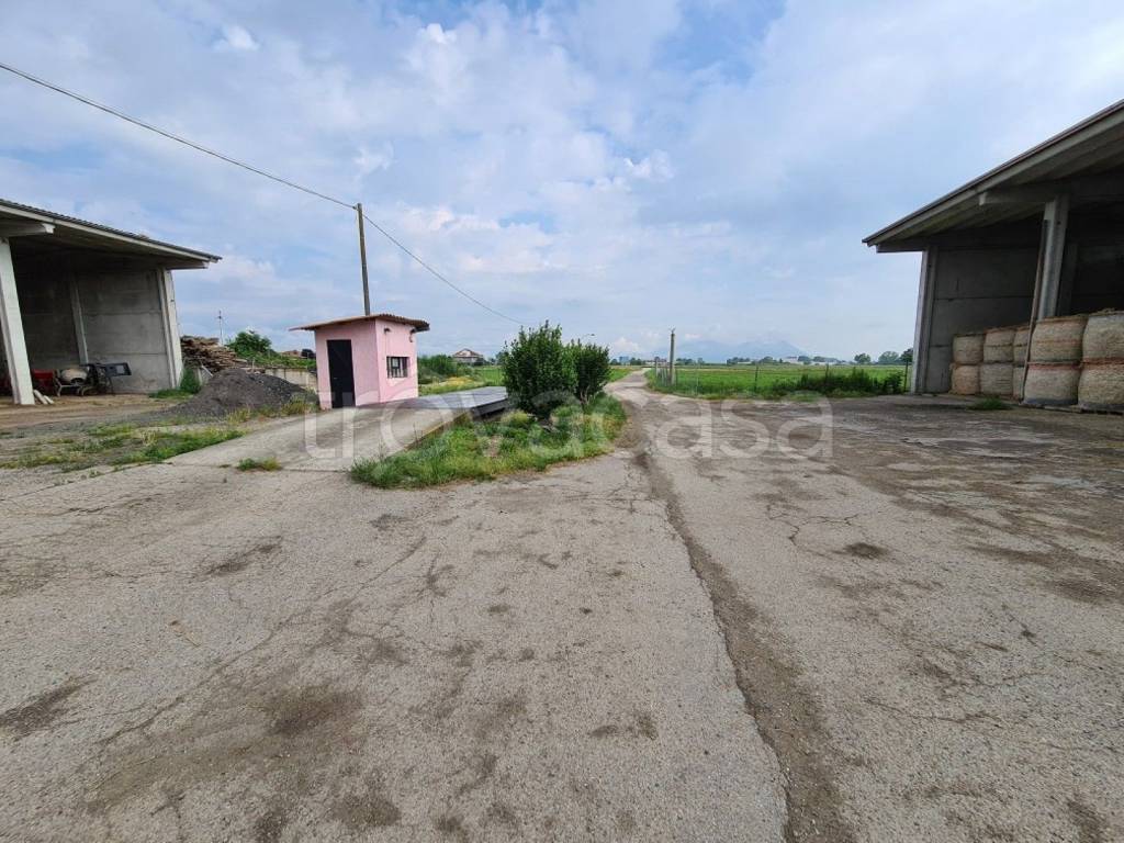 immagine annuncio 6 di 12