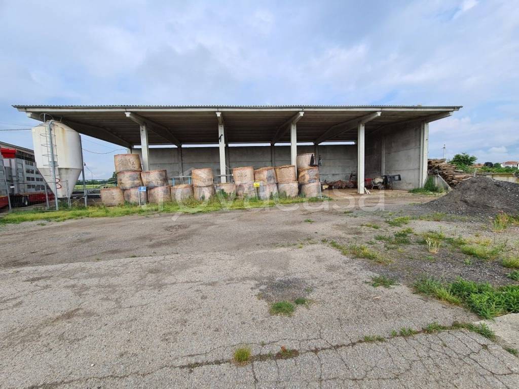 immagine annuncio 2 di 12