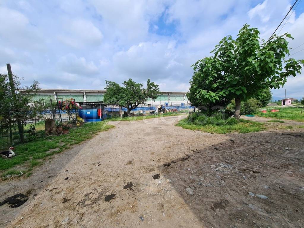 immagine annuncio 3 di 12