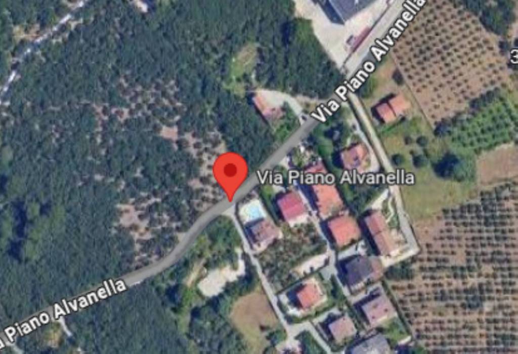 immagine annuncio 7 di 13