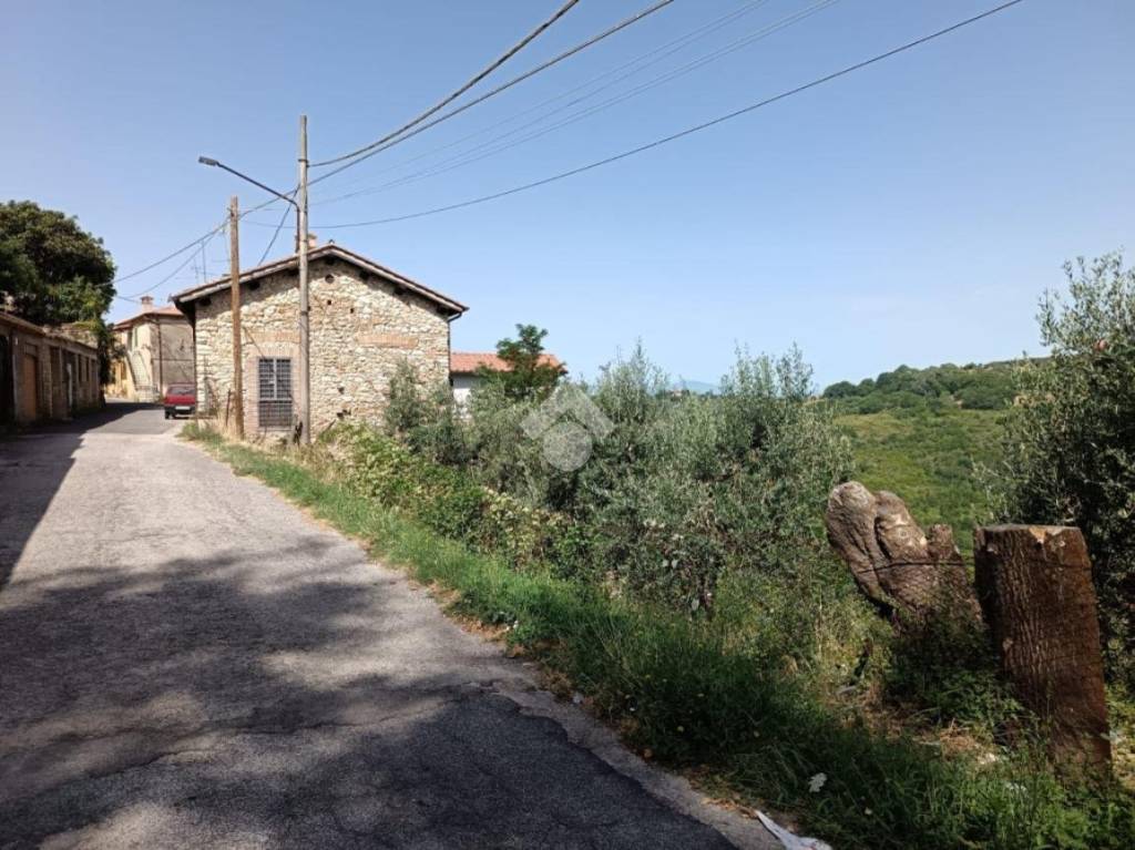 immagine annuncio 3 di 14