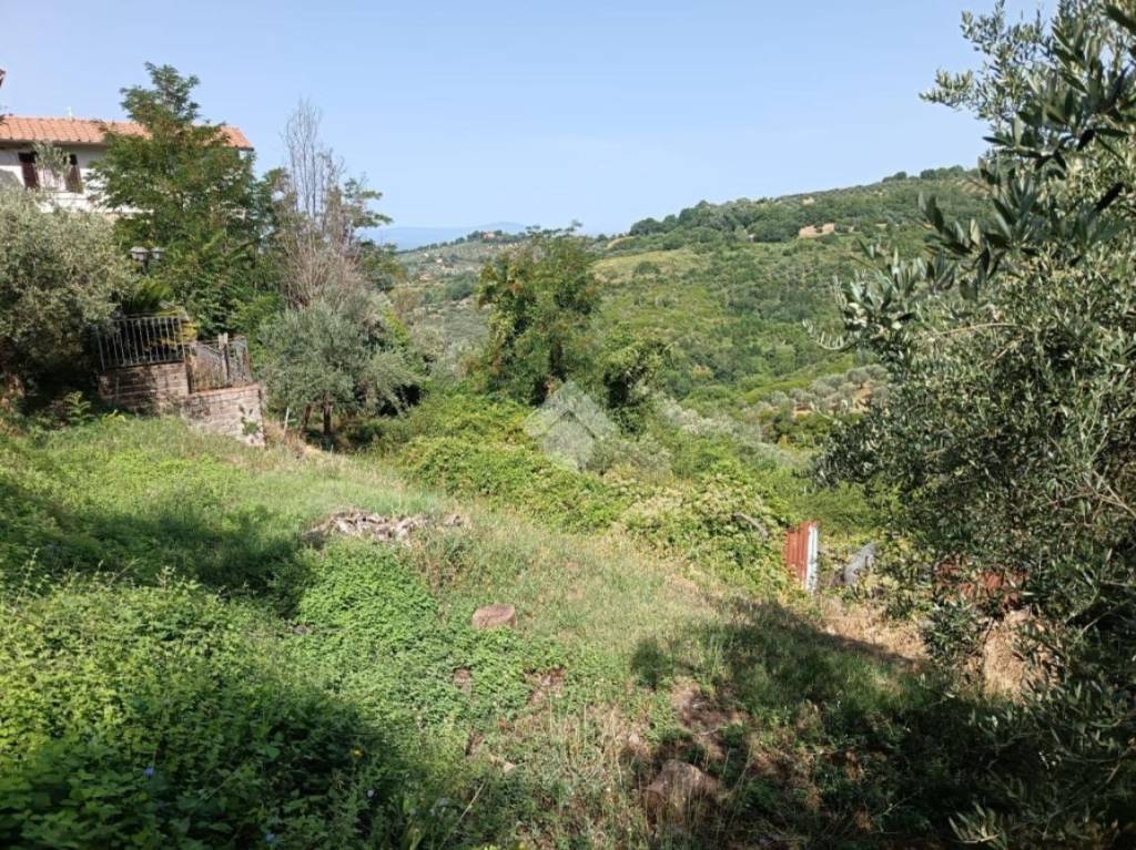 immagine annuncio 4 di 14