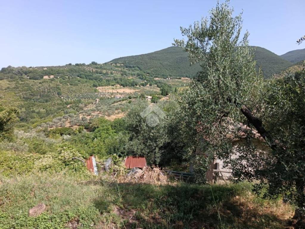 immagine annuncio 6 di 14
