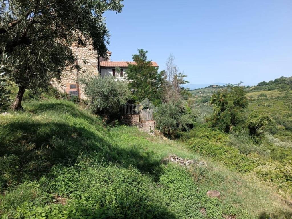 immagine annuncio 7 di 14