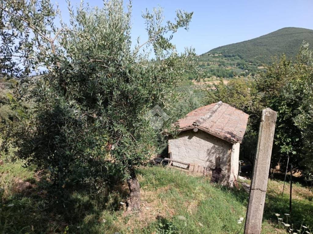 immagine annuncio 8 di 14
