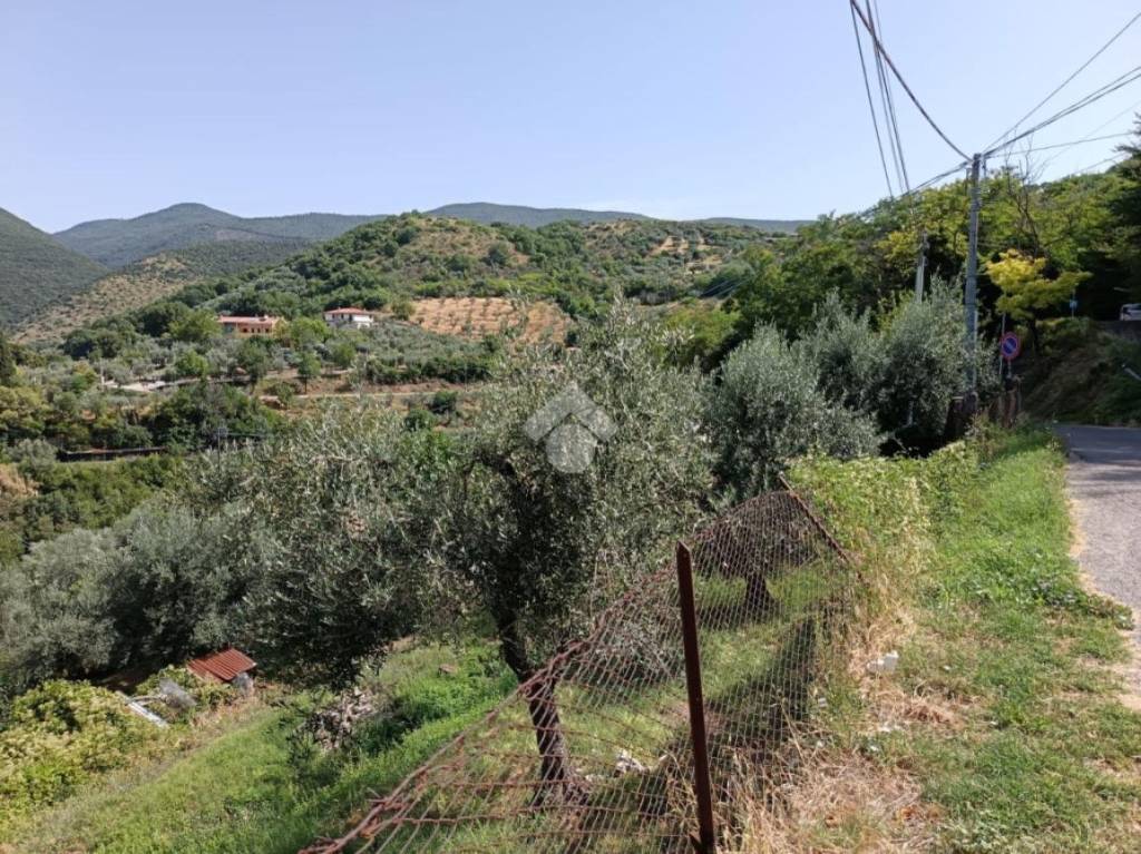 immagine annuncio 10 di 14