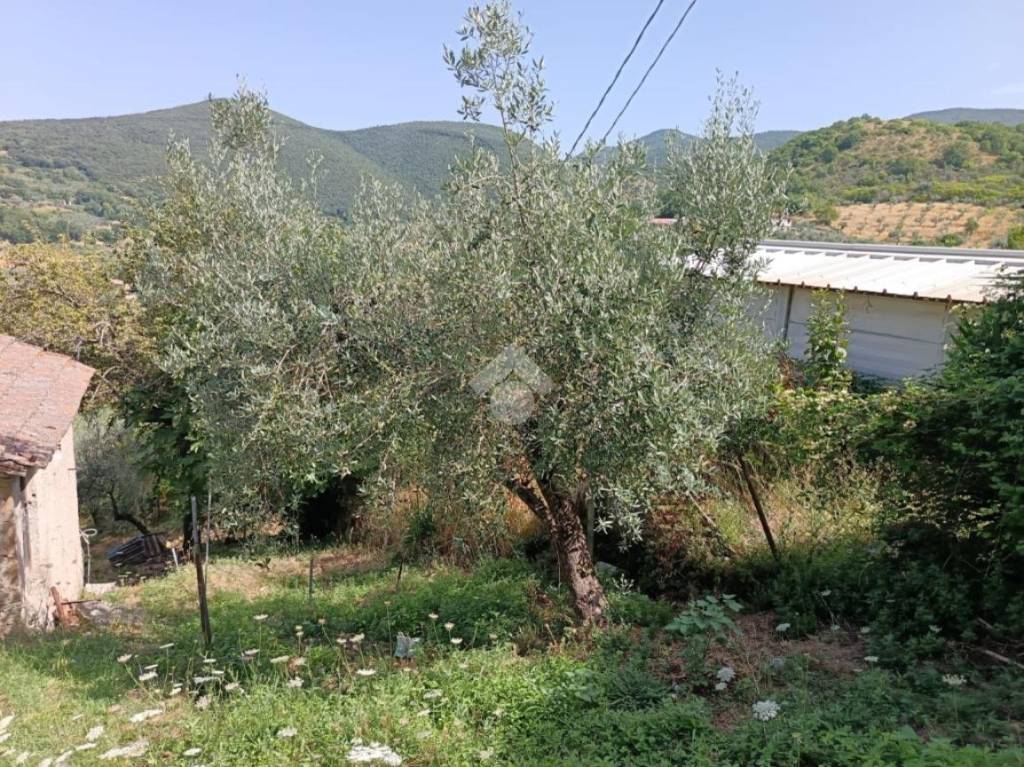immagine annuncio 12 di 14