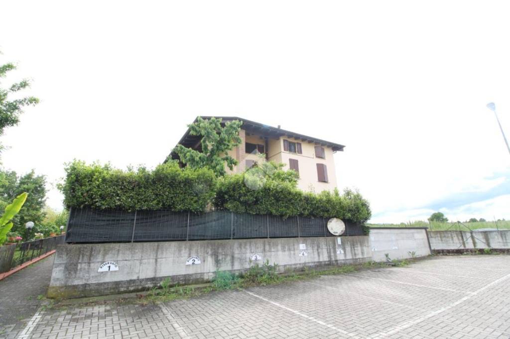 immagine annuncio 2 di 7