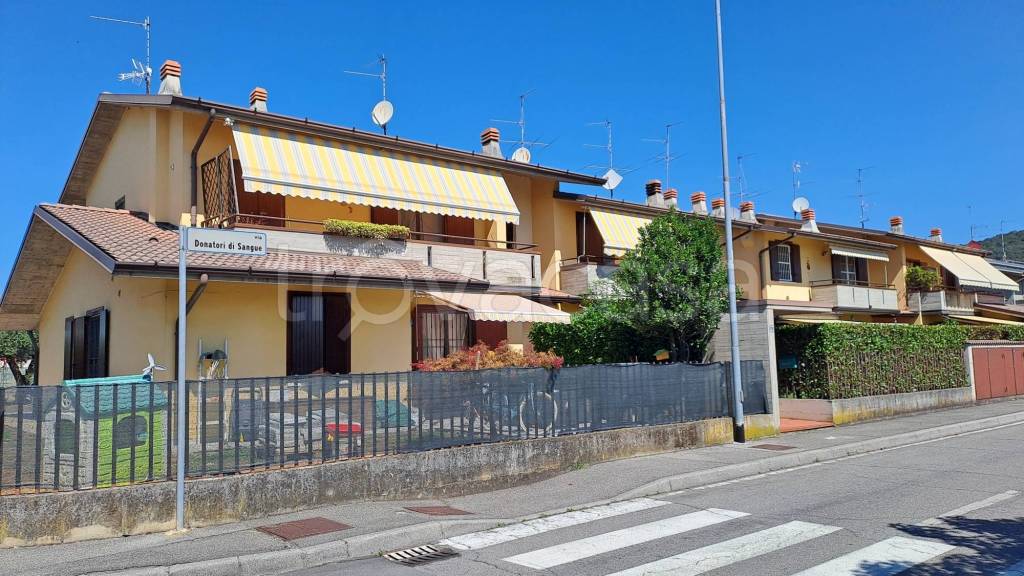 immagine annuncio 1 di 15