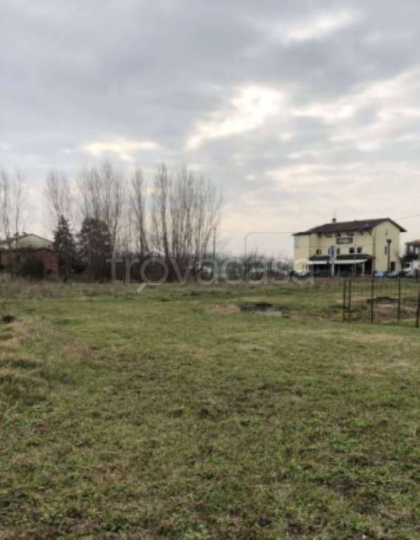 immagine annuncio 6 di 13