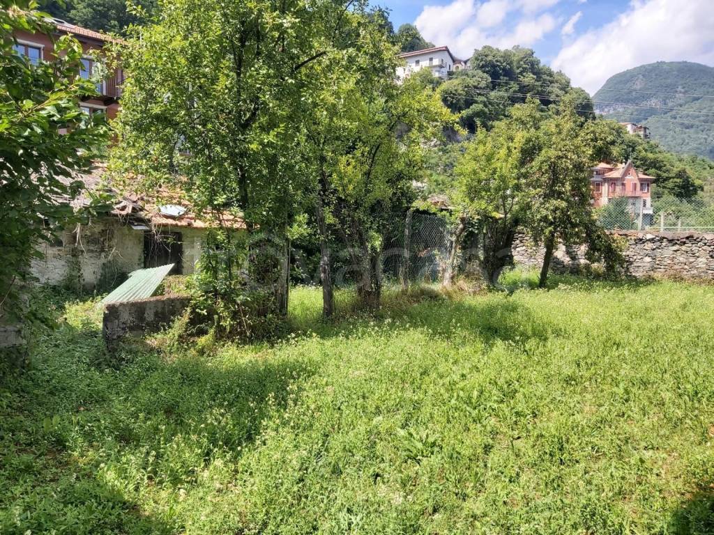 immagine annuncio 4 di 13