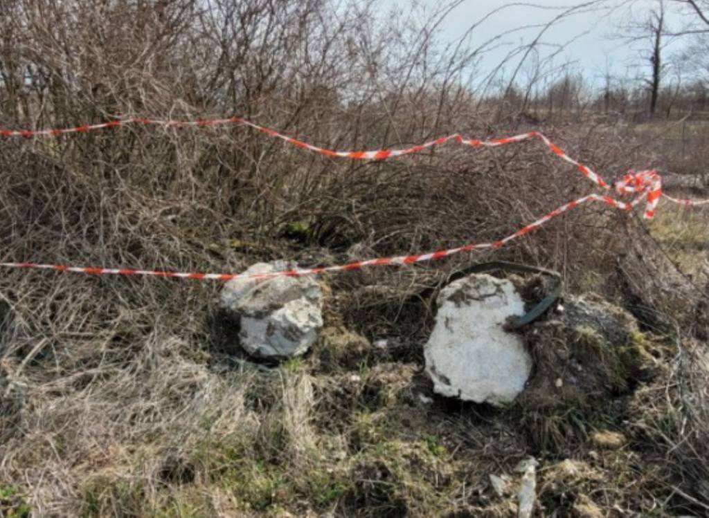immagine annuncio 9 di 11