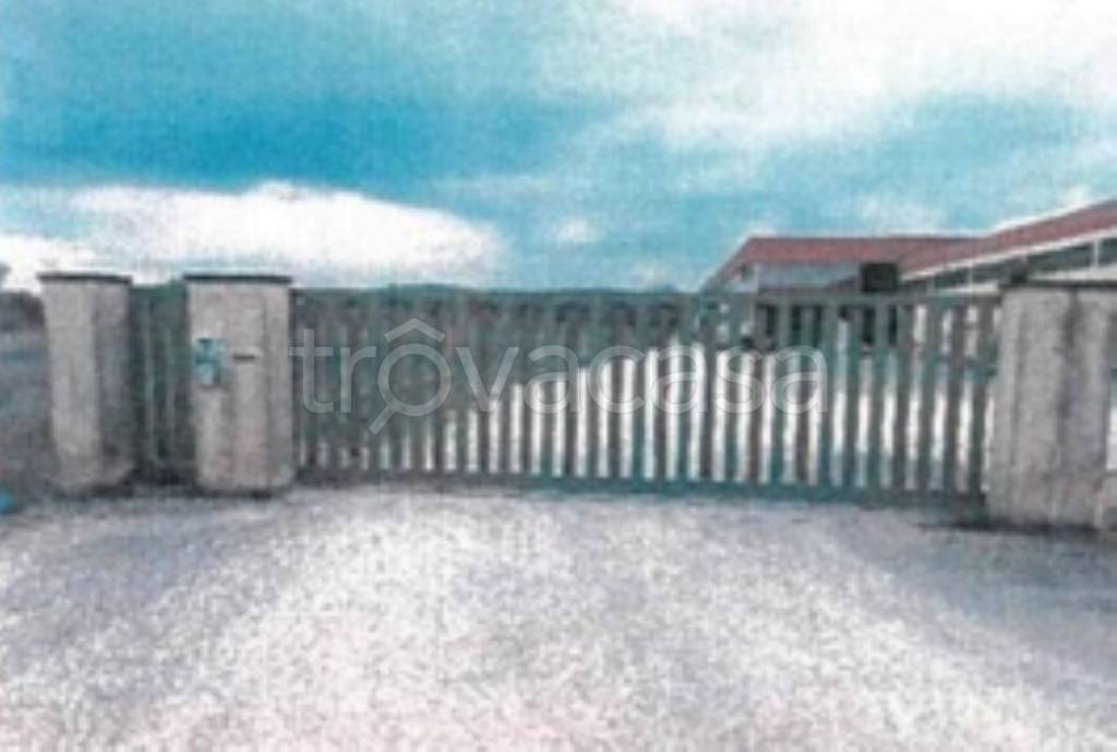 immagine annuncio 7 di 12