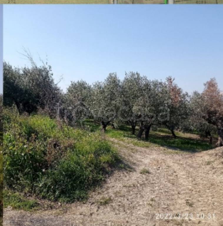 immagine annuncio 3 di 14