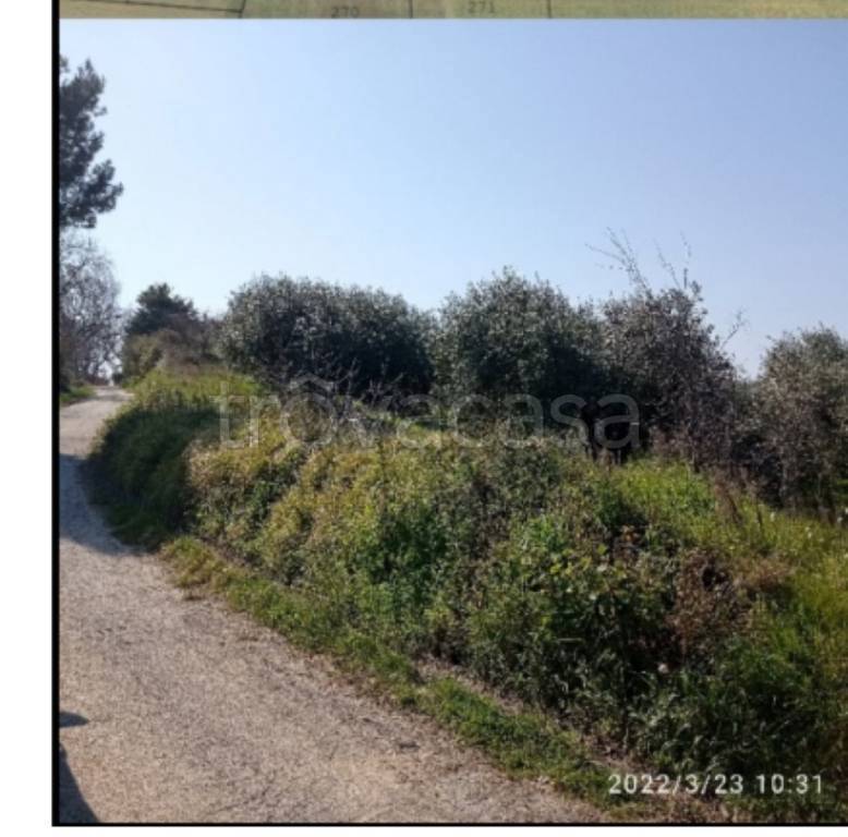 immagine annuncio 5 di 14